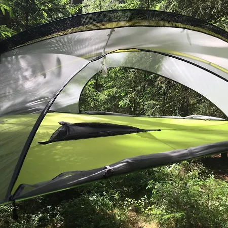 Baumzelt Im Wald Regen